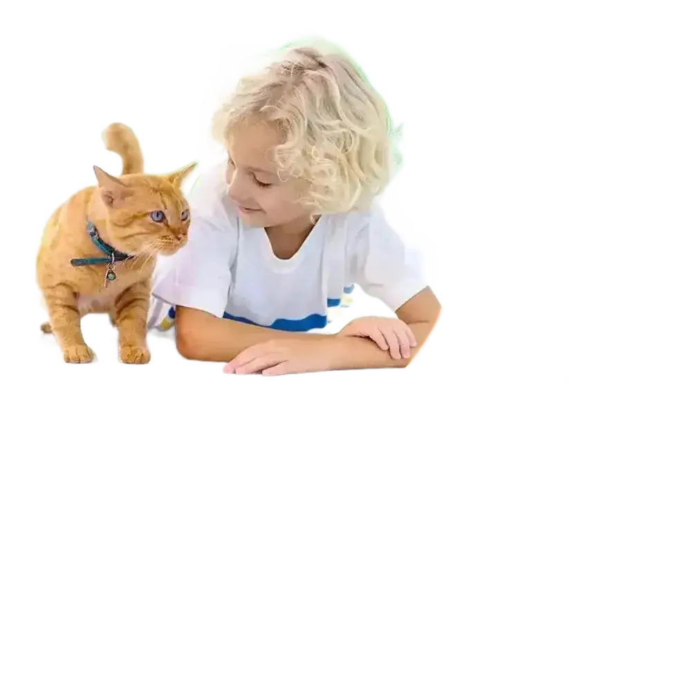 Cat Dog Steamy Brush Electric Sprayer 3 in 1 Grooming Tool.