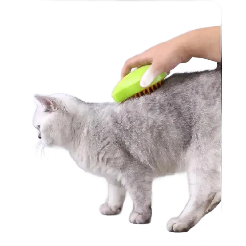 Cat Steam Brush Electric Spray Water Spray Grooming Supplies.