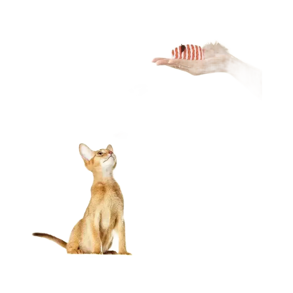 Cat Toys Pet Toys Mopping Mouse Toy Plush Feather Bell.