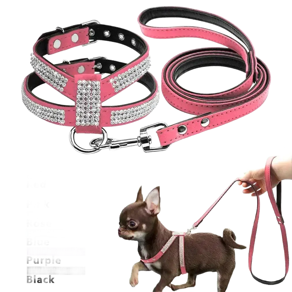 Didog Small Dog Harness And Leash Set Suede Leather Rhinestone.