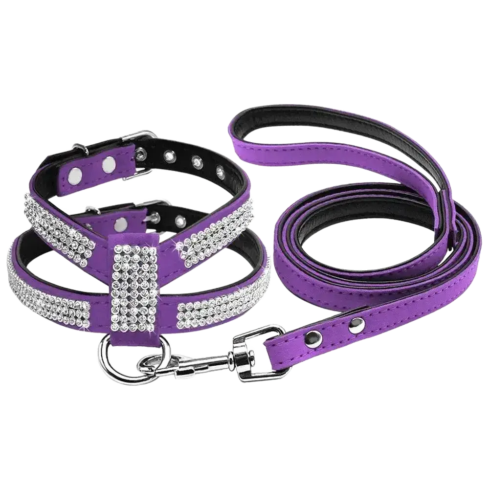 Didog Small Dog Harness And Leash Set Suede Leather Rhinestone.