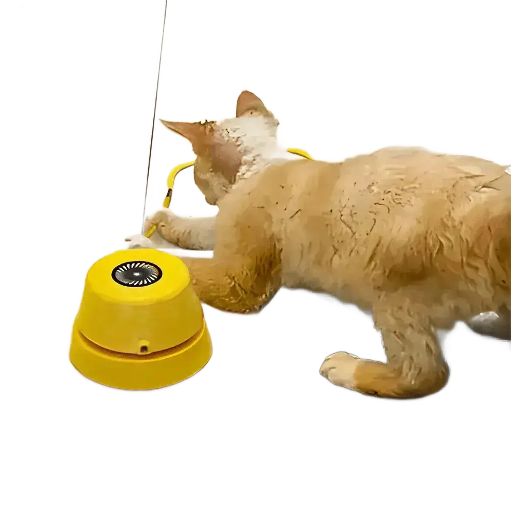 Fully Intelligent Automatic Rope Sling Cat Teaser Toy.