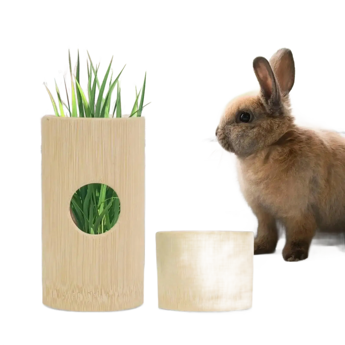 Hay Feeder Feeding Grass Holder Multifunctional Bunny.