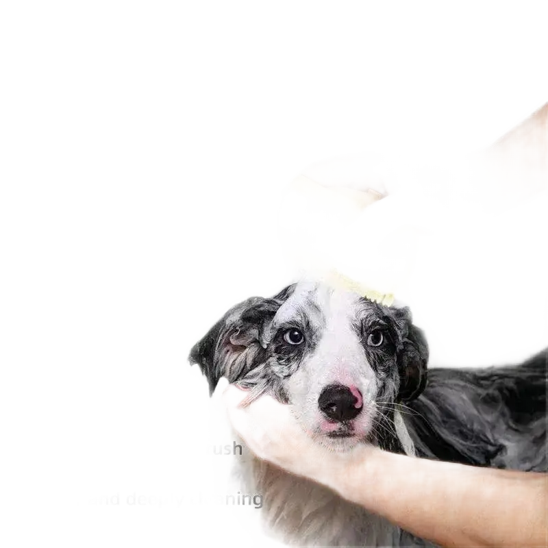 Pet Shower Brush Soft Silicone Massager Cleaning Tool Comb.