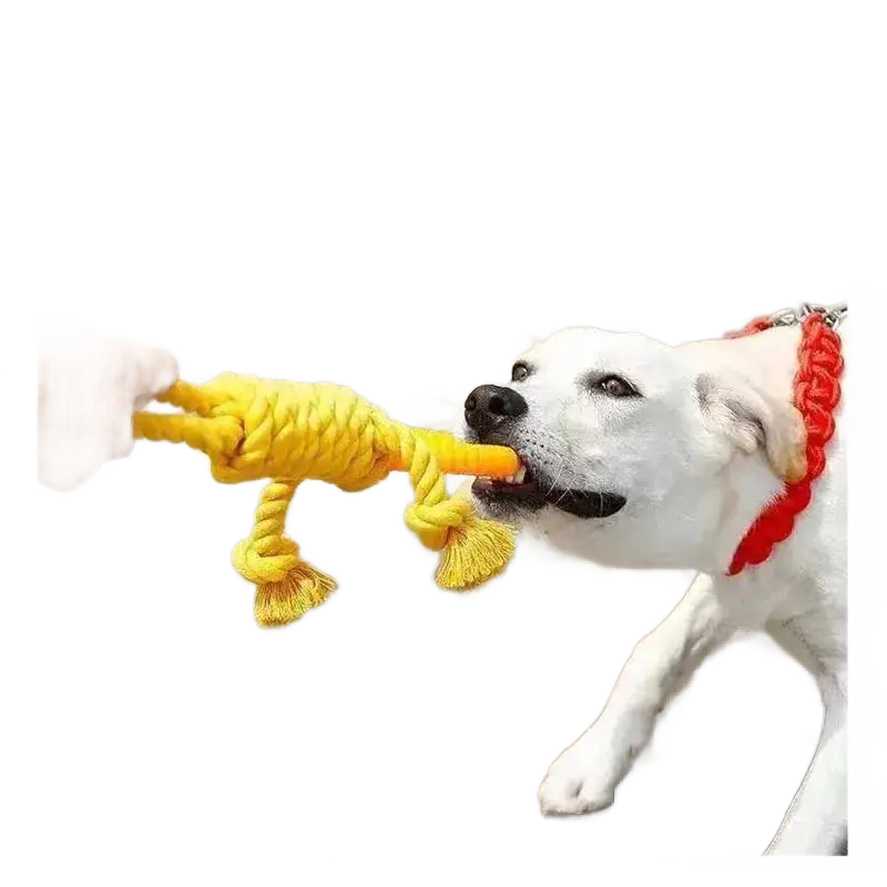 Carrot Knot Rope Ball Dog Toys for Interactive Playtime - petguardiansupplies petguardiansupplies Dog Chew Toys