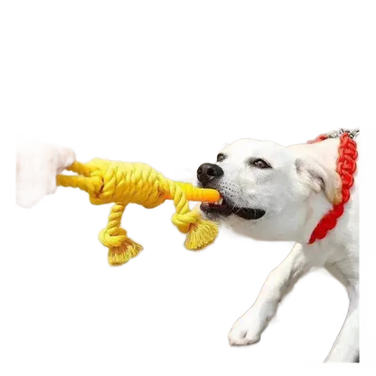 Carrot Knot Rope Ball Dog Toys for Interactive Playtime - petguardiansupplies petguardiansupplies Dog Chew Toys